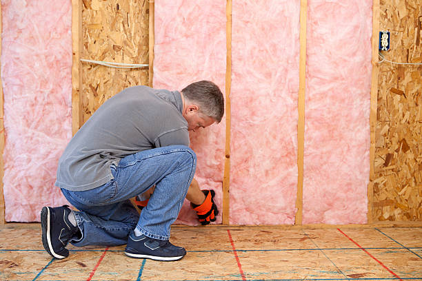 Best Cellulose Insulation in Monte Sereno, CA